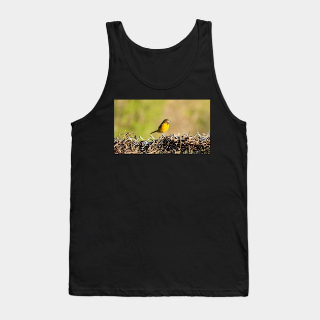 Oriole Perched On My Backyard Fence Tank Top by BackyardBirder